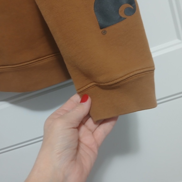 Carhartt Youth,unisex Brown Hoodie - Picture 4 of 6